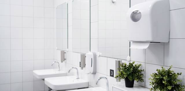 A commercial restroom's handwashing station with sinks, soap dispensers, paper towel dispensers, and aromatic plants.