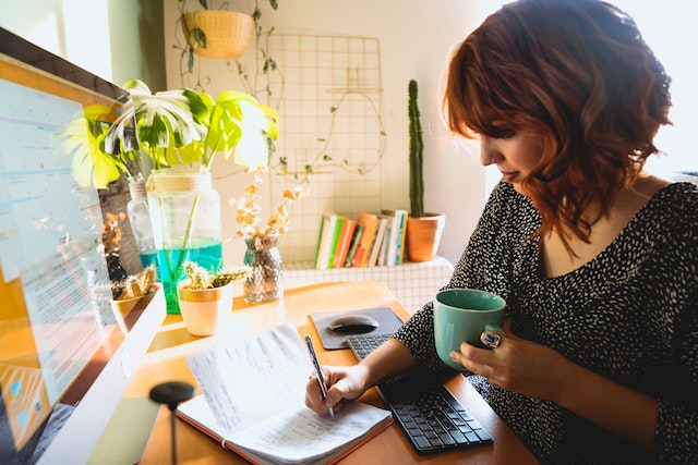 What is a B-Corp Business?