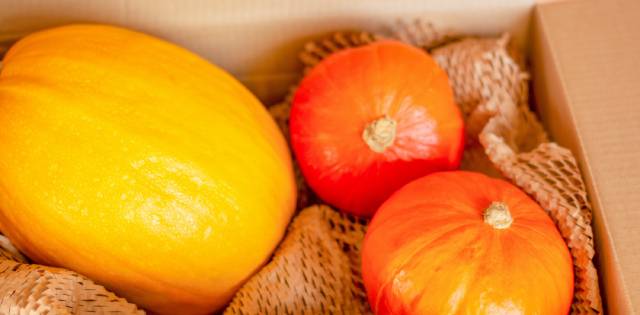 A cardboard box has three bright orange gourds packed in it. A brown mesh wrap sits under the gourds.