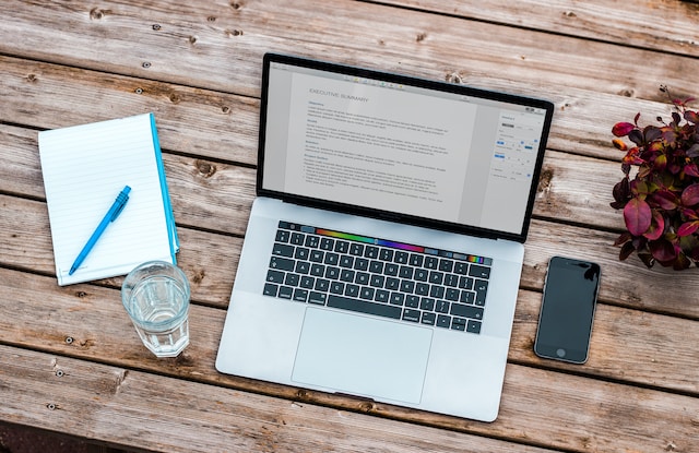 Benefits of Using a Professional CV