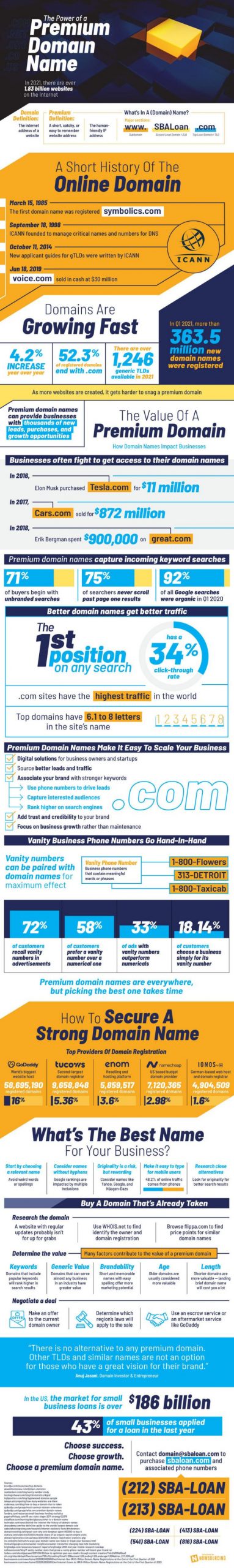 Premium Domain Infographic
