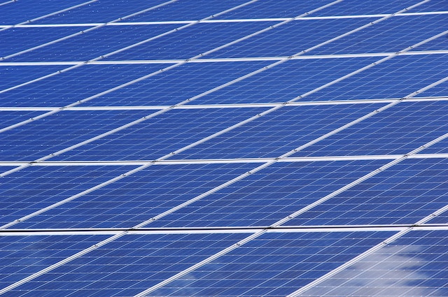 How Renewable Energy Consultants Can Help Your Business Save Money