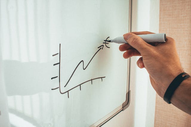 the role of an investment manager