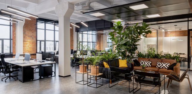 A modern office with work stations and large windows. Plants and greenery are placed near couches in a sitting lounge area.