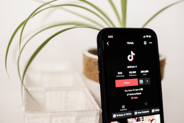 Who are the highest paid TikTok Influencers in 2022?