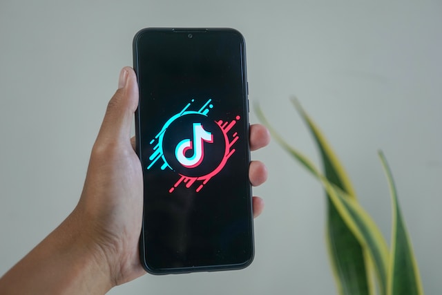 How To Make Money on TikTok